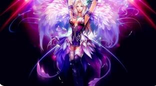 红腿陆龟的饲养方法, 红腿陆龟的饲养环境